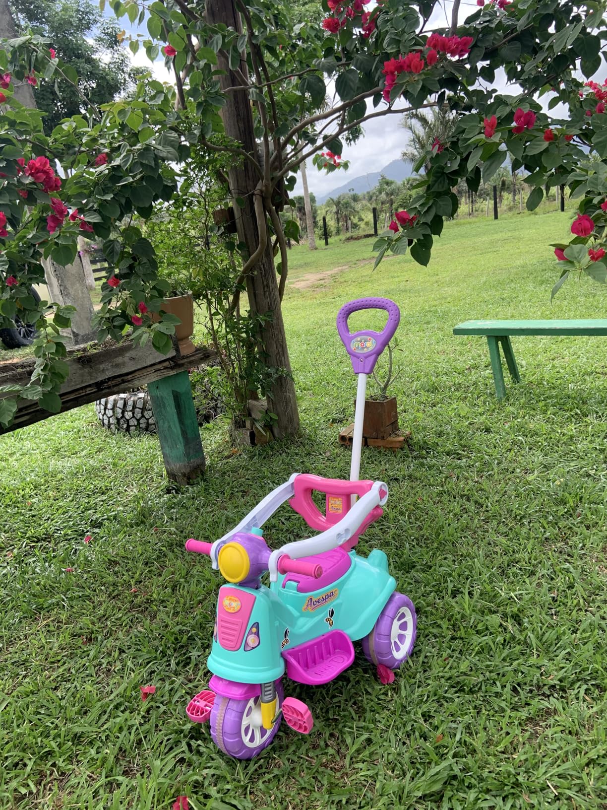Triciclo Infantil Avespa - Pink