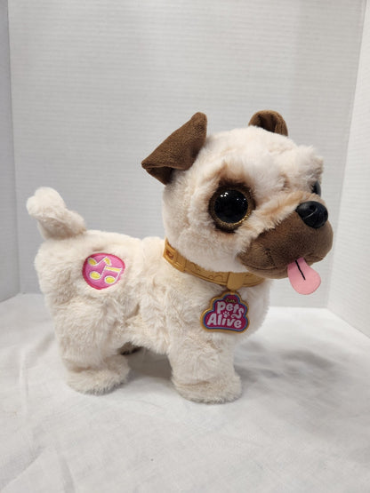 Pets Alive - Poppy