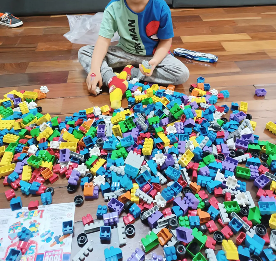 Blocos de Montar (500 peças)