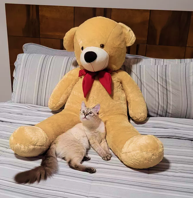 Pelúcia - Urso Gigante - Laço Vermelho - A minha loja
