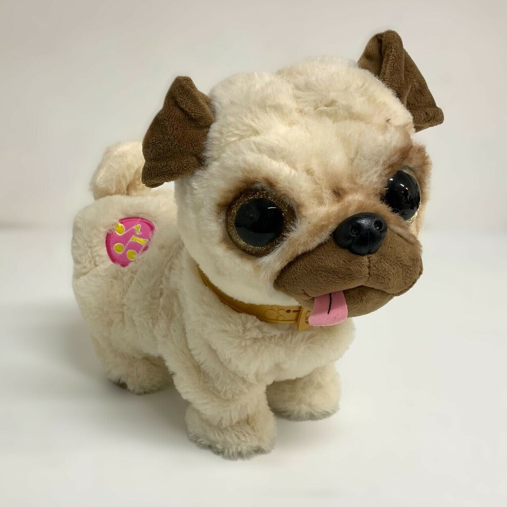 Pets Alive - Poppy