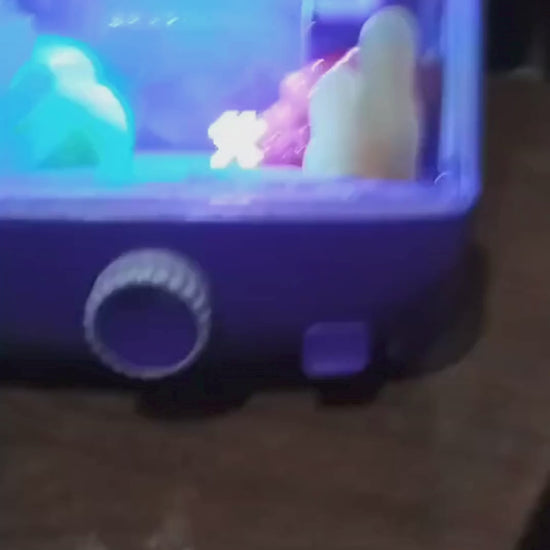 Vídeo de perto da tela do aquário virtual em funcionamento
